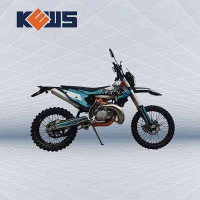 Frigorífico de água OEM Carburador Duas Motos Storke Motor EC 300 com Potência Forte